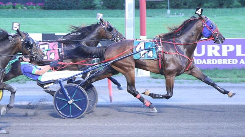 Endurance-Lisa-Photo Endurance-Lisa-Photo