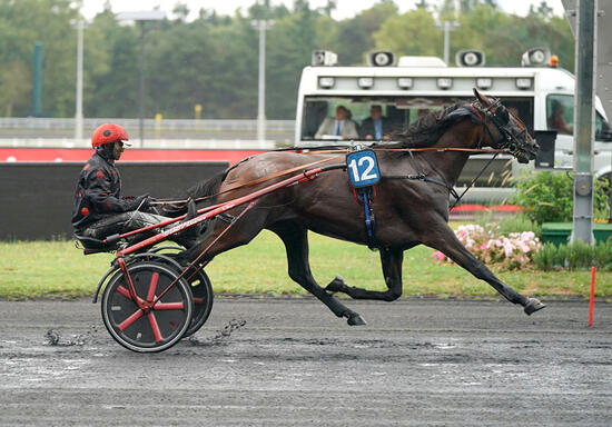enino_jockey