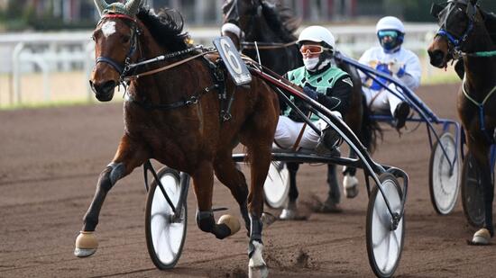 enrico-bellei_1154366Photogallery