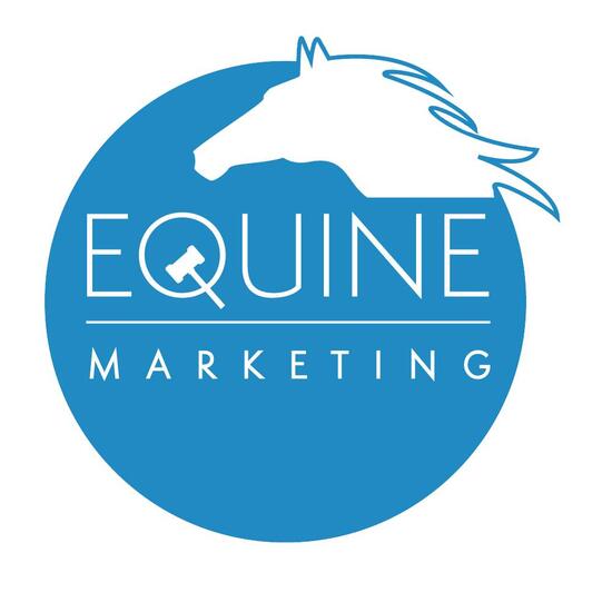 Equine Maketing 1
