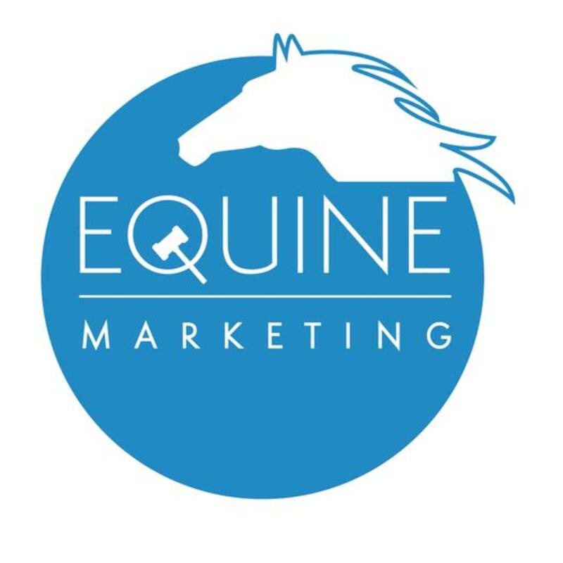 Equine Marketing