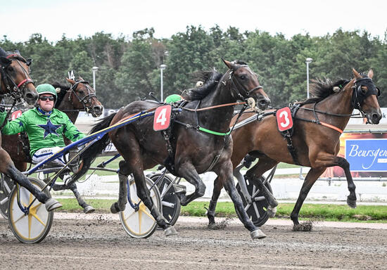 Eridan gewann den Tour-Prolog 2019 (Foto: letrot.com)