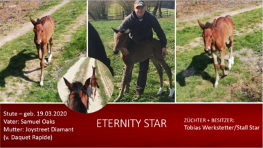 Eternity-Star