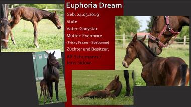 Euphoria Dream