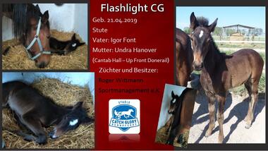 Flashlight CG
