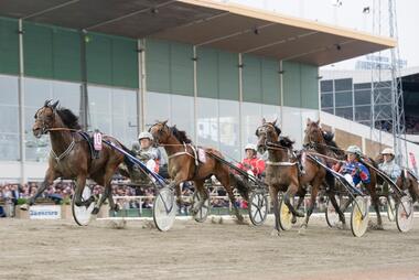 Flying Fortuna (4) wird Zweiter im Breeders Course-Finale