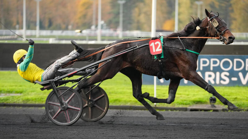 frank-gio-171124-673a1eca8e62e952601887