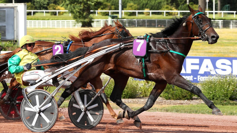 frankgio-240706a-668975df8904e393145906