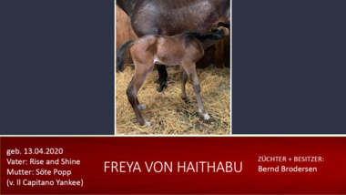Freya-von-Haithabu