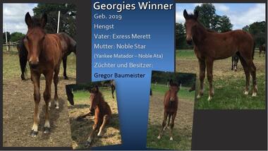 Georgies Winner