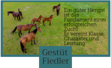 Gestüt Fiedler