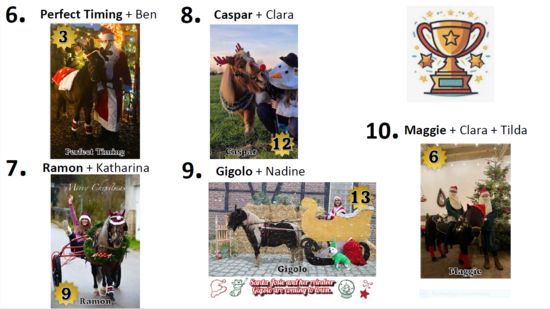 Gewinner 6 - 10