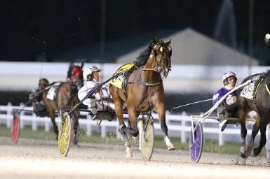 Gimpanzee Harrah's Hoosier Gimpanzee betters Atlanta in Caesars Trotting Classic