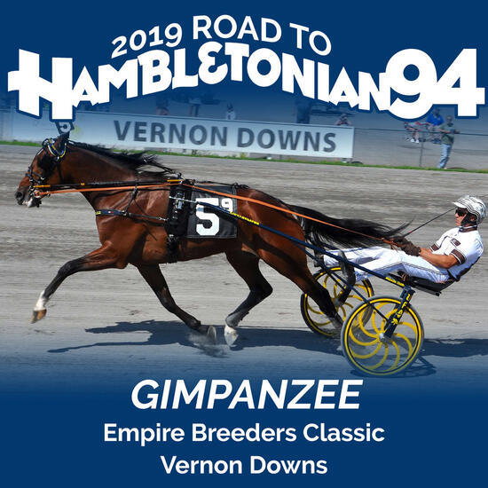 gimpanzee+ig+ebc