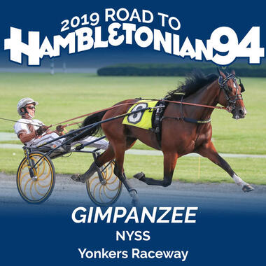 gimpanzee-nyss_imagelarge