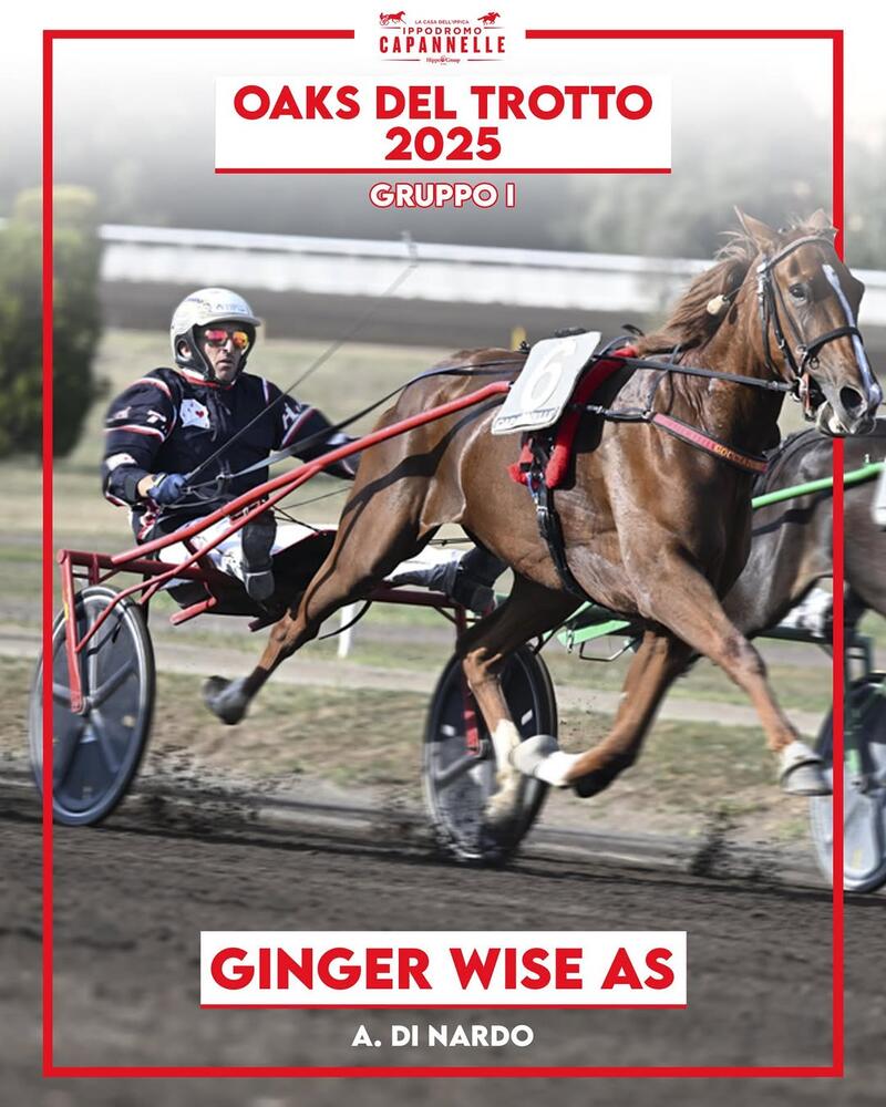 Ginger