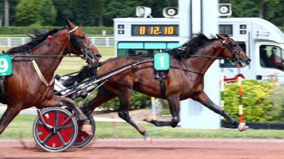 Gotland