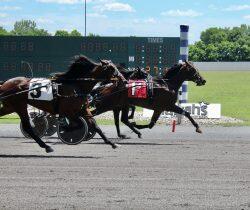 Grace-Zimmers-photo-Delayed-Hanover-PHL-WED-062321-002-250x210