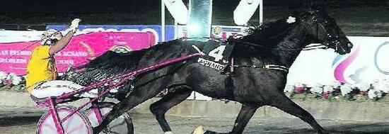 Gran Premio Gaetano Turilli