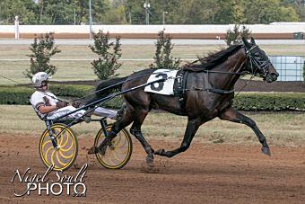 Greenshoe092919