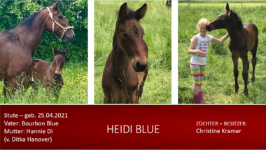 Heidi Blue