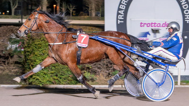 Heinz Wewering und Rainbow Diamant Foto Marius Schwarz