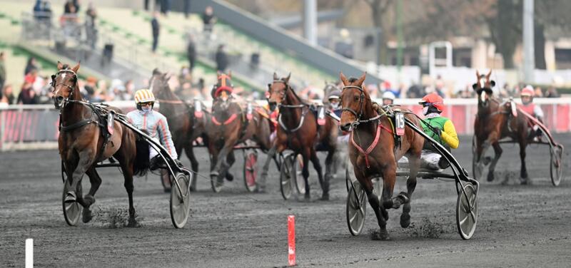 hevosurheilu_2022-01_e31182a4-4711-4956-b000-f38d0df96b51_Feydeau_Seven_Prix_de_Belgique_2022_afeydeau1_scaledartikelbild_1280