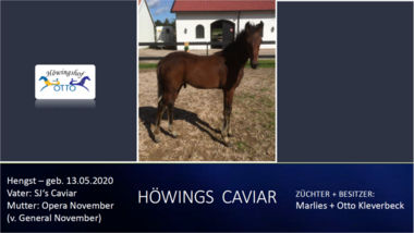 Hoewings-Caviar