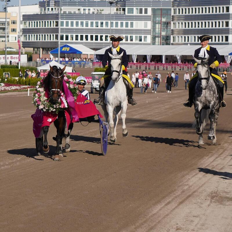 Horsy EL 3