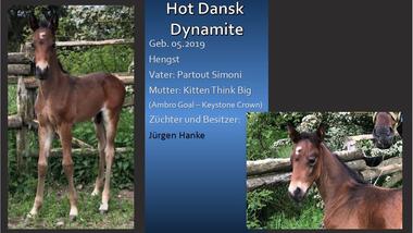 Hot Dansk Dynamite