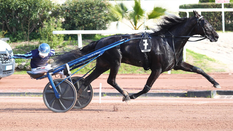 iguskisautonne-une-260308-69adb2356b60f597925961