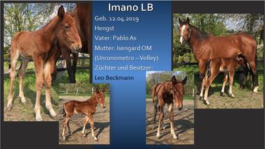 Imano LB