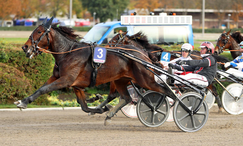 Jeffrey Mieras und Narda F Boko Foto Marius Schwarz