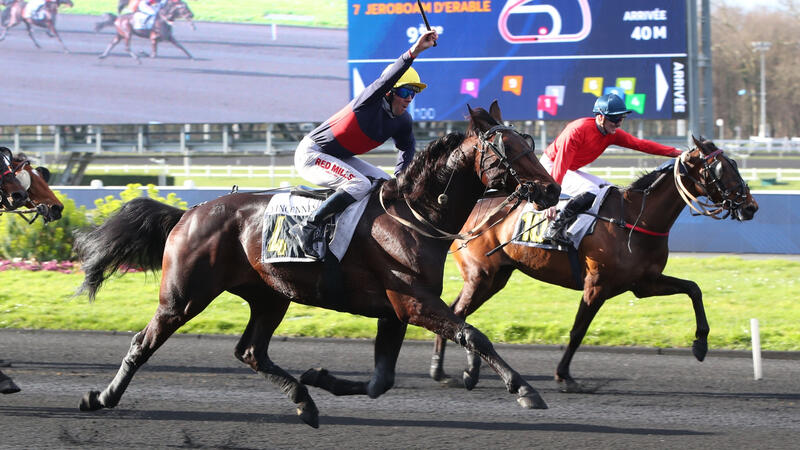 jemenvole-260228-69a32881a3a0a129770336