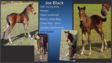 Joe Black