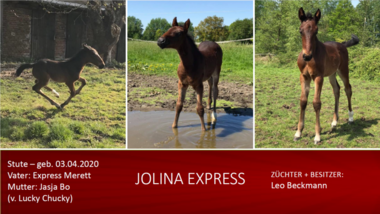 Jolina-Express