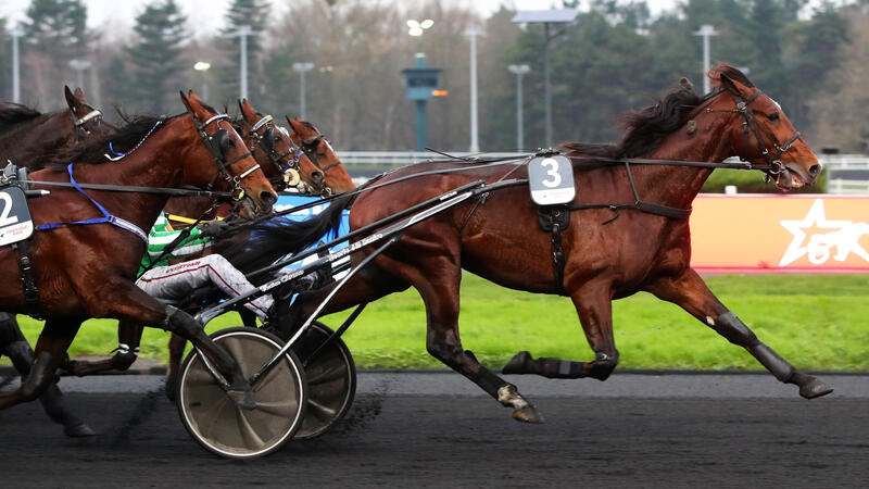 jushuatree-251228-6951808b5ef50813004594