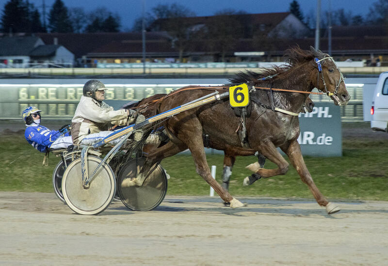 Kador du Choquel_Z301125F Kador du Choquel_Z301125F