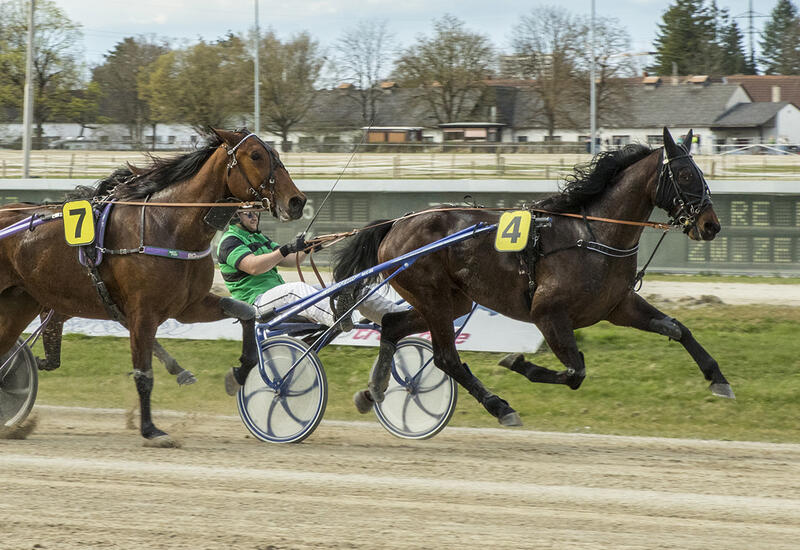 King des Ves_Z050426F