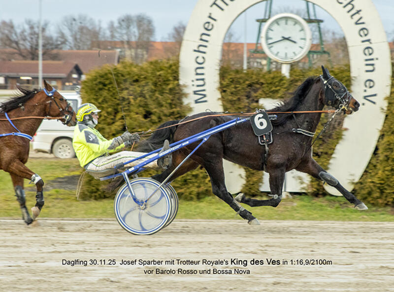 King des Ves_Z301125F King des Ves_Z301125F