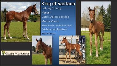 King of Santana