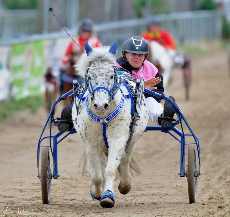 Lara Braun mit Cornelius - Letzer Start + Sieg im Minitraber-Rennen