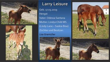 Larry Leisure