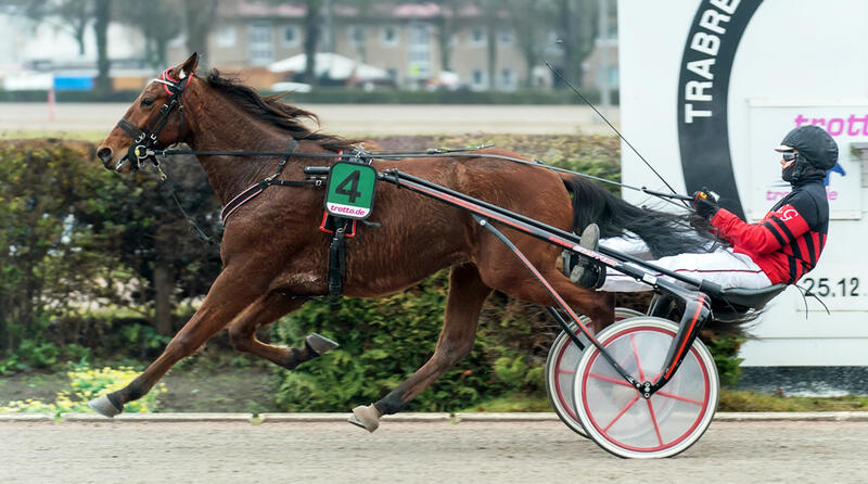 Lasse Grundhöfer und Farmer Simoni Foto traberpixx.de