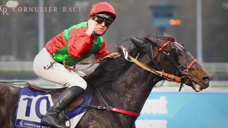 lecrindor131225-693ef41ae2f5e967382035 lecrindor131225-693ef41ae2f5e967382035