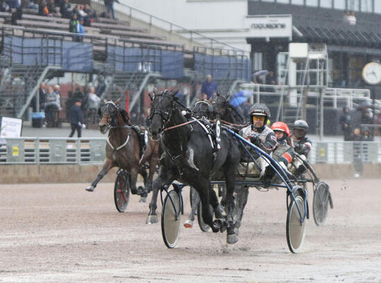 lewis_ale_mika_forss_solvalla_280919_kuva_hippos_hanna_laakso