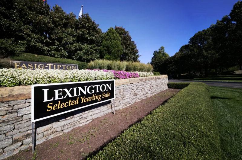 Lexington Auktion