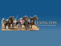 Lexington-Sales_large
