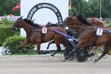 Lighten up today gewinnt den Vorlauf zum Super Trot Cup