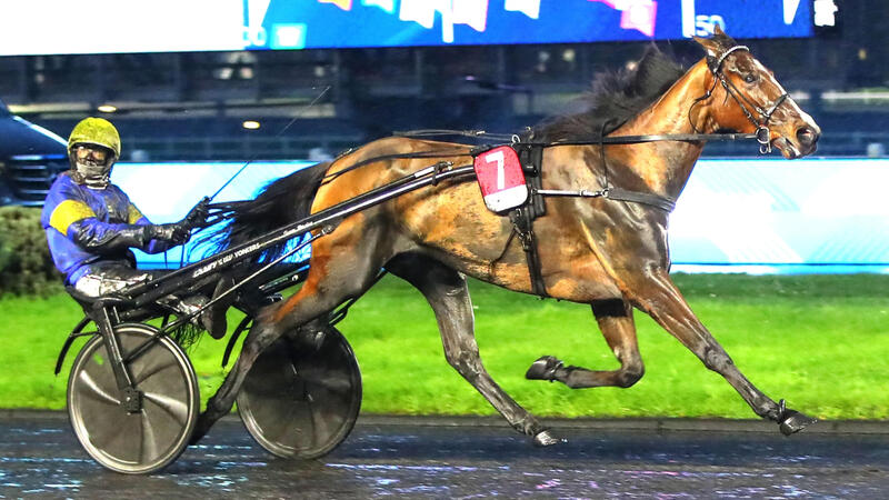 lizajosselyn-251221-69484169a23c8751002108